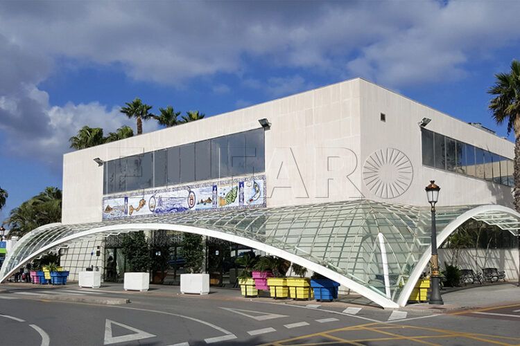 descuentos-viajes-barco-familiares-estudiantes-ugr