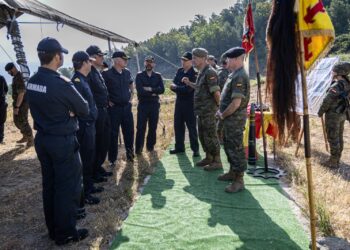 exhibicion-militar-regimiento-caballeria-presencia-armada-1