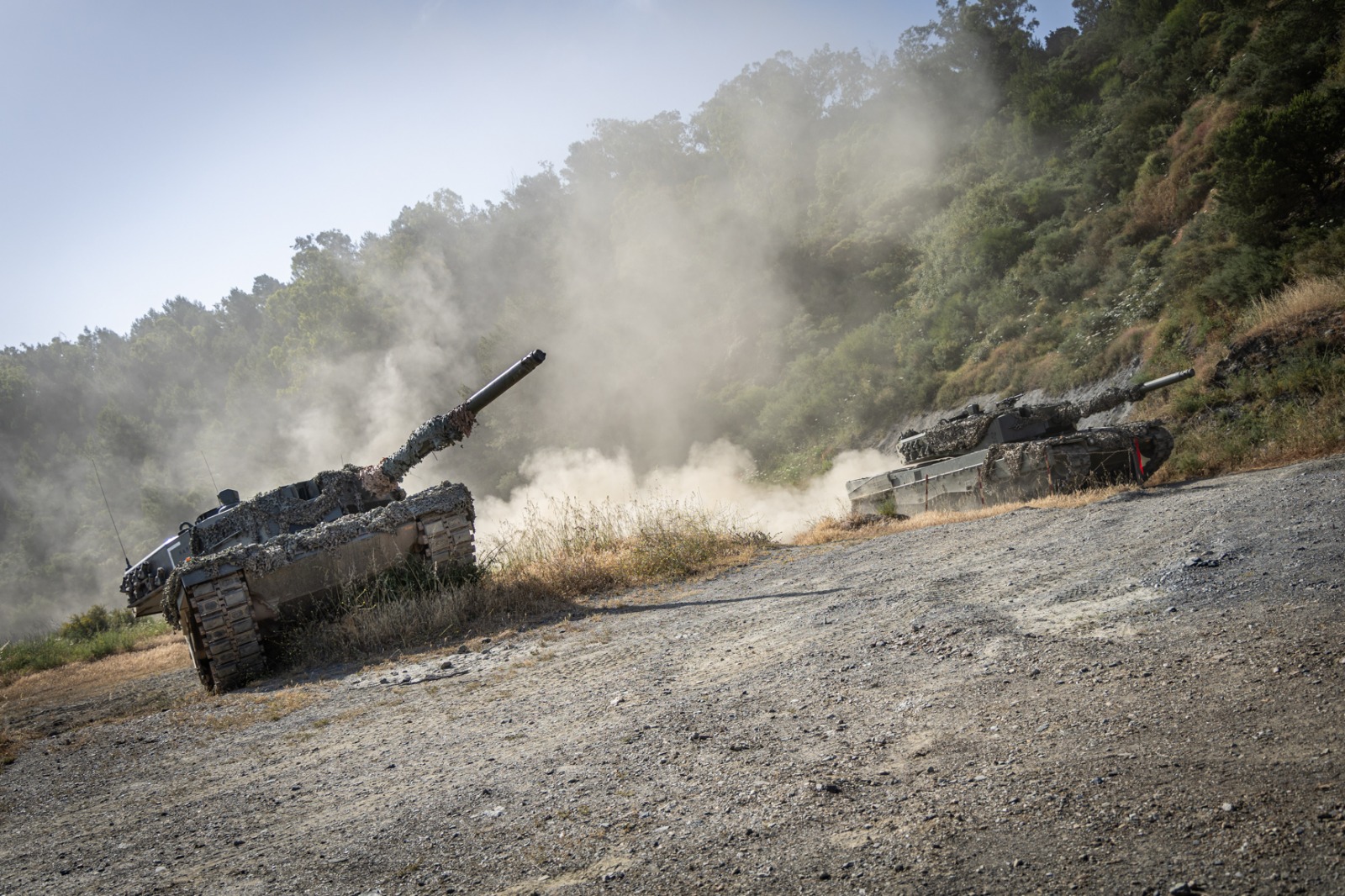 exhibicion-militar-regimiento-caballeria-presencia-armada-4