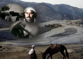 paisaje-variopinto-politica-coercitiva-camuflada-pirueta-exculpatoria-001