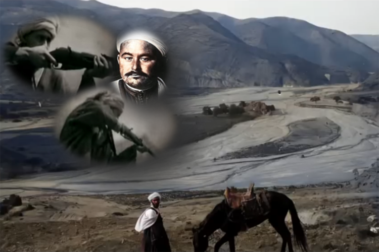 paisaje-variopinto-politica-coercitiva-camuflada-pirueta-exculpatoria-001