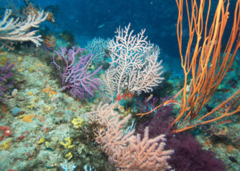 septem-nostra-ceuta-escondida