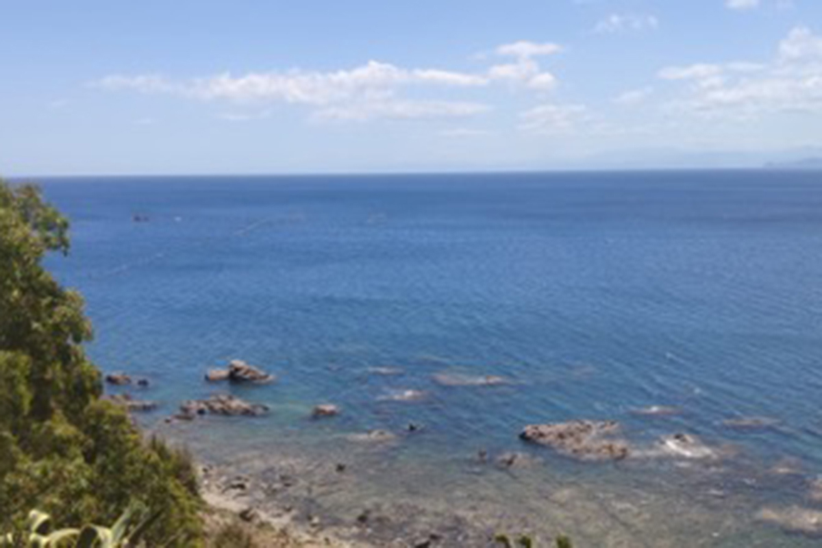 banderas-negras-2025-012