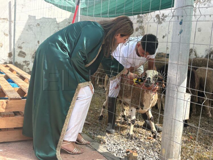 ceuta-celebra-eid-a-Adha-todos-dispositivos-sacrificio-nabila-benzina-1