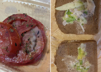 comida-mal-estado-cumbre-onu-sevilla-4