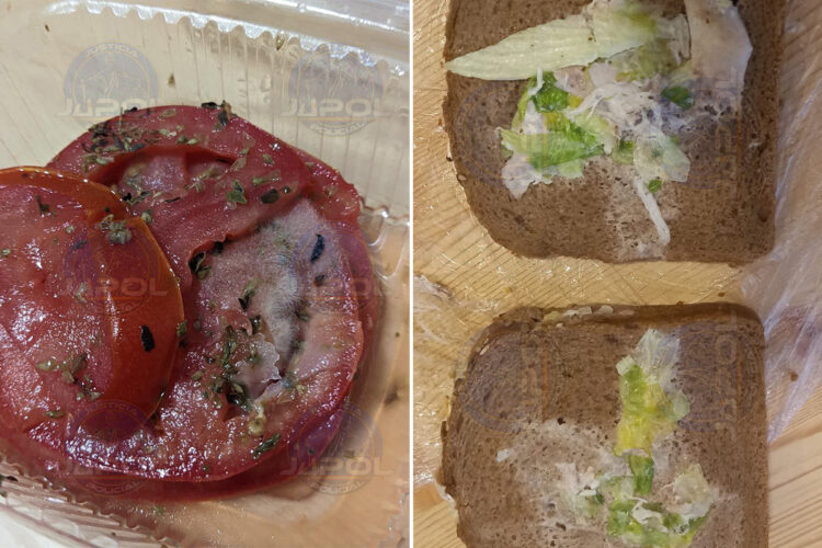 comida-mal-estado-cumbre-onu-sevilla-4