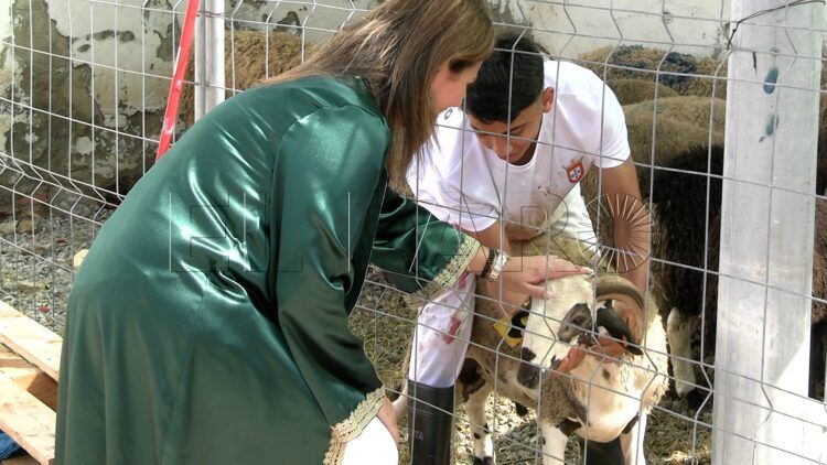 comunidad-musulmana-recibe-eid-al-adha-2025-espiritu-agradecido-24