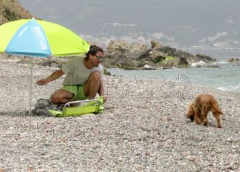 consejos-disfrutar-dia-playa-perro-16