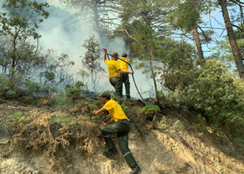 controlado-incendio-bosque-talsemtane-chefchaouen-001
