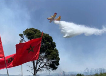 detenido-posible-autor-incendio-bosque-ain-lahsan-001