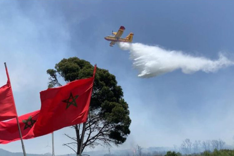 detenido-posible-autor-incendio-bosque-ain-lahsan-001