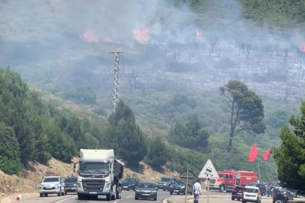 detenido-posible-autor-incendio-bosque-ain-lahsan-003