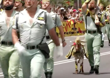 legion-desfile.acto-dia-fuerzas-armadas-001