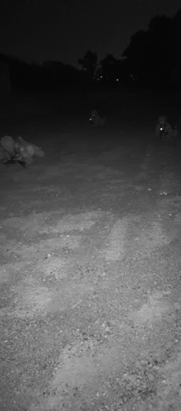 forman-nuevos-regulares-ciclo-adaptacion-001