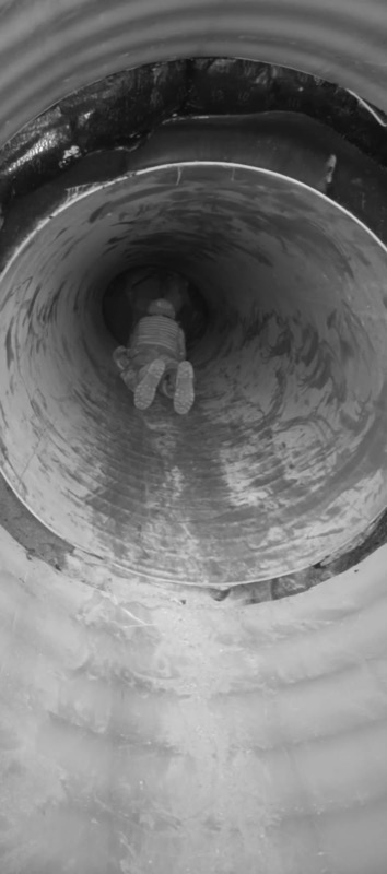 forman-nuevos-regulares-ciclo-adaptacion-002