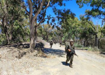 forman-nuevos-regulares-ciclo-adaptacion-004