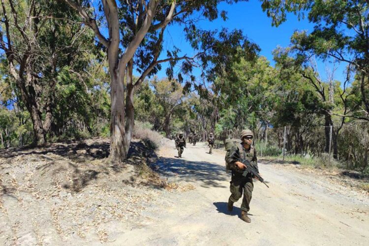 forman-nuevos-regulares-ciclo-adaptacion-004