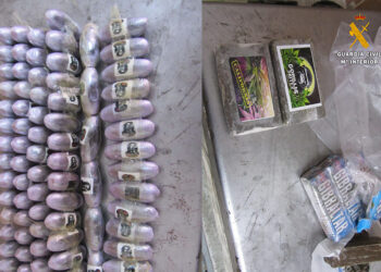 gorila-bob-marley-gibraltar-detenidos-hachis