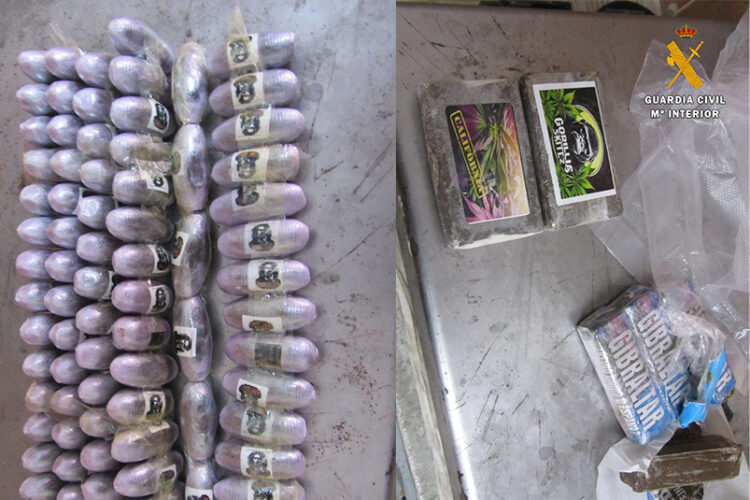 gorila-bob-marley-gibraltar-detenidos-hachis