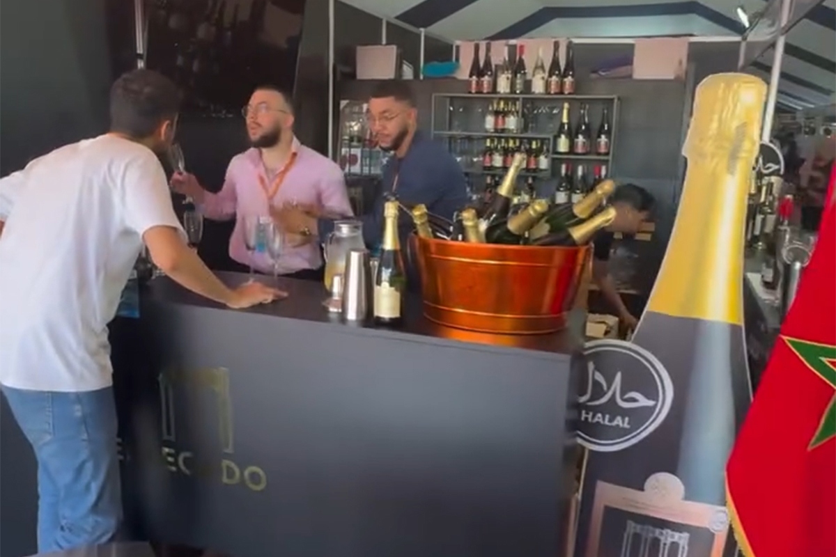 jornadas-zona-actividades-economicas-castillejos-003