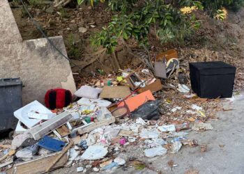 maleza-insectos-ratas-psoe-denuncia-insalubridad-solares-miguel-arruda