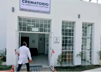 opinion-crematorio-mascotas-ceuta