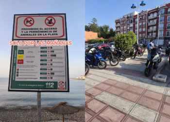 playa-benitez-playa-sin-ley-tardes