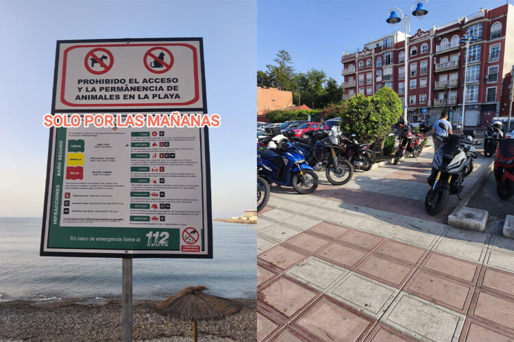 playa-benitez-playa-sin-ley-tardes