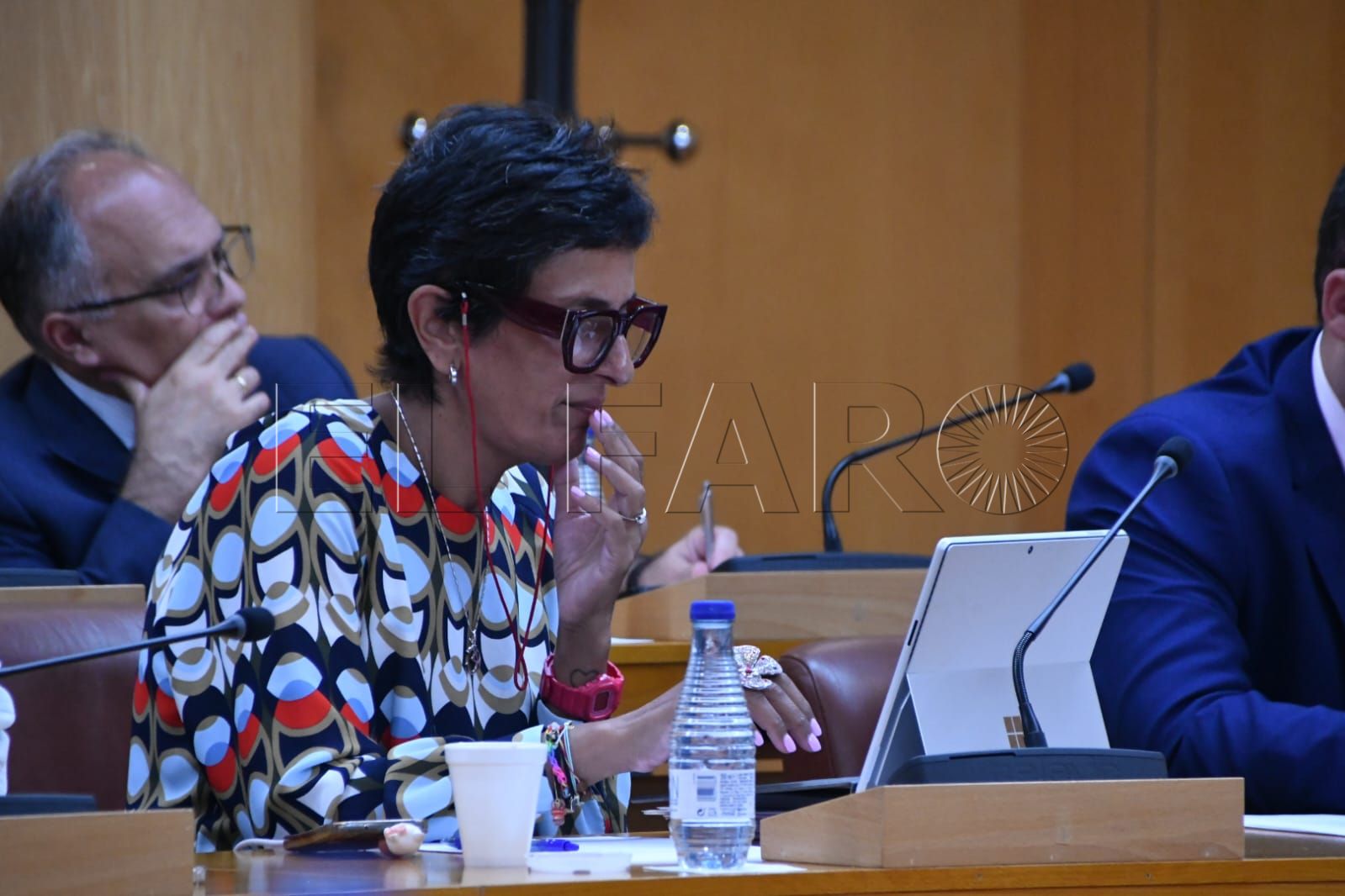 pleno-sesion-control-junio-2025-18