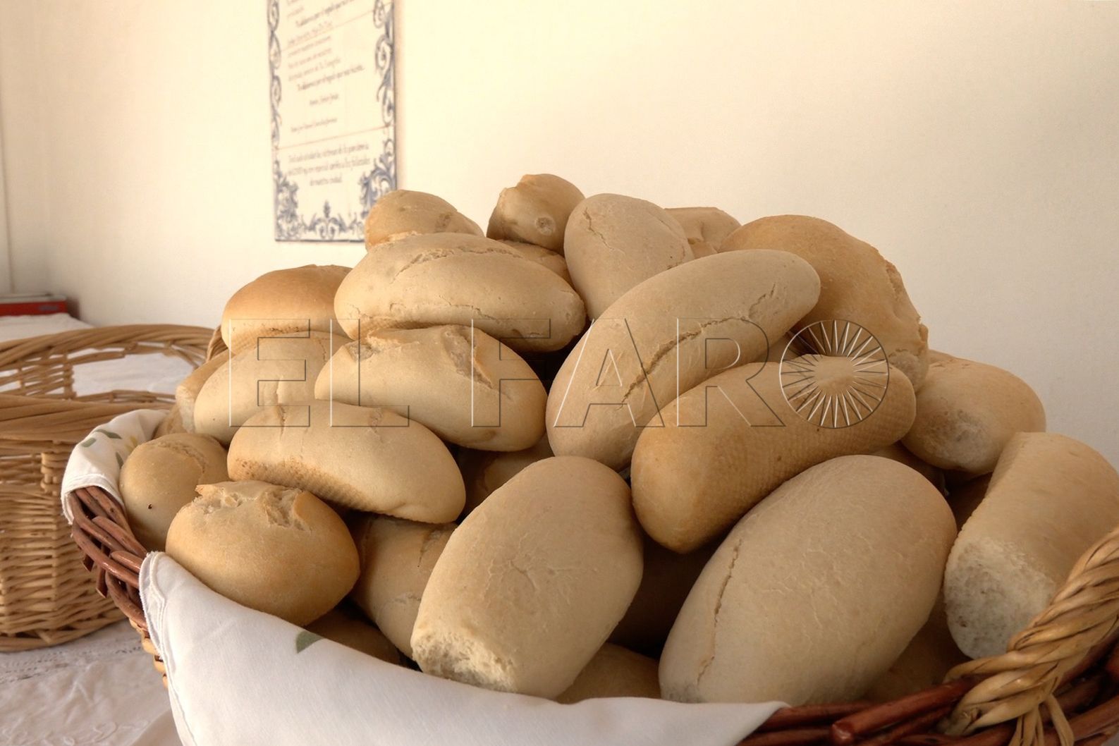 san-antonio-luce-espera-romeria-2025-11