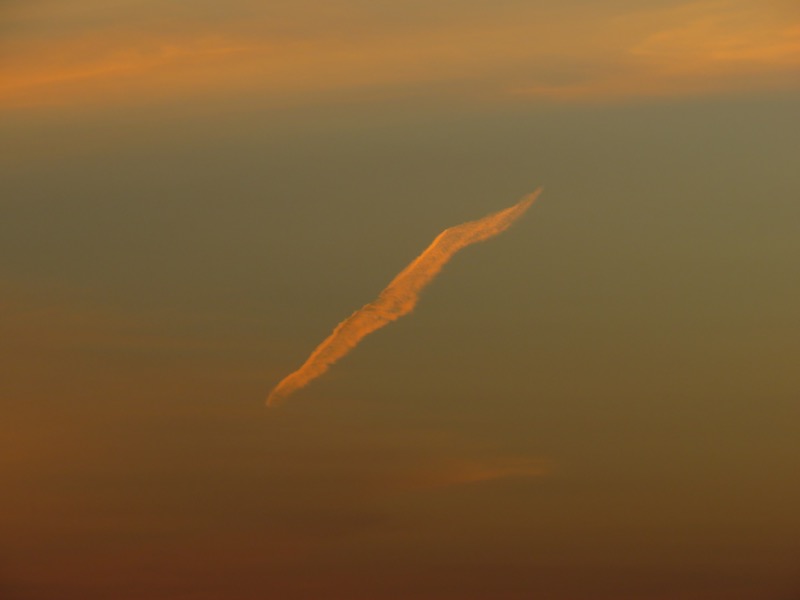 zoepolis-degradacion-medioambiental