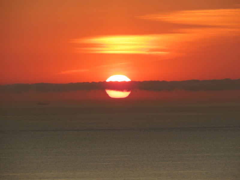 zoepolis-degradacion-medioambiental