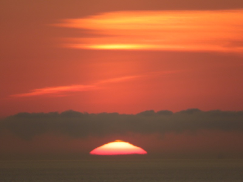 zoepolis-degradacion-medioambiental