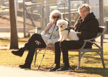 ancianos-viaje-mascota