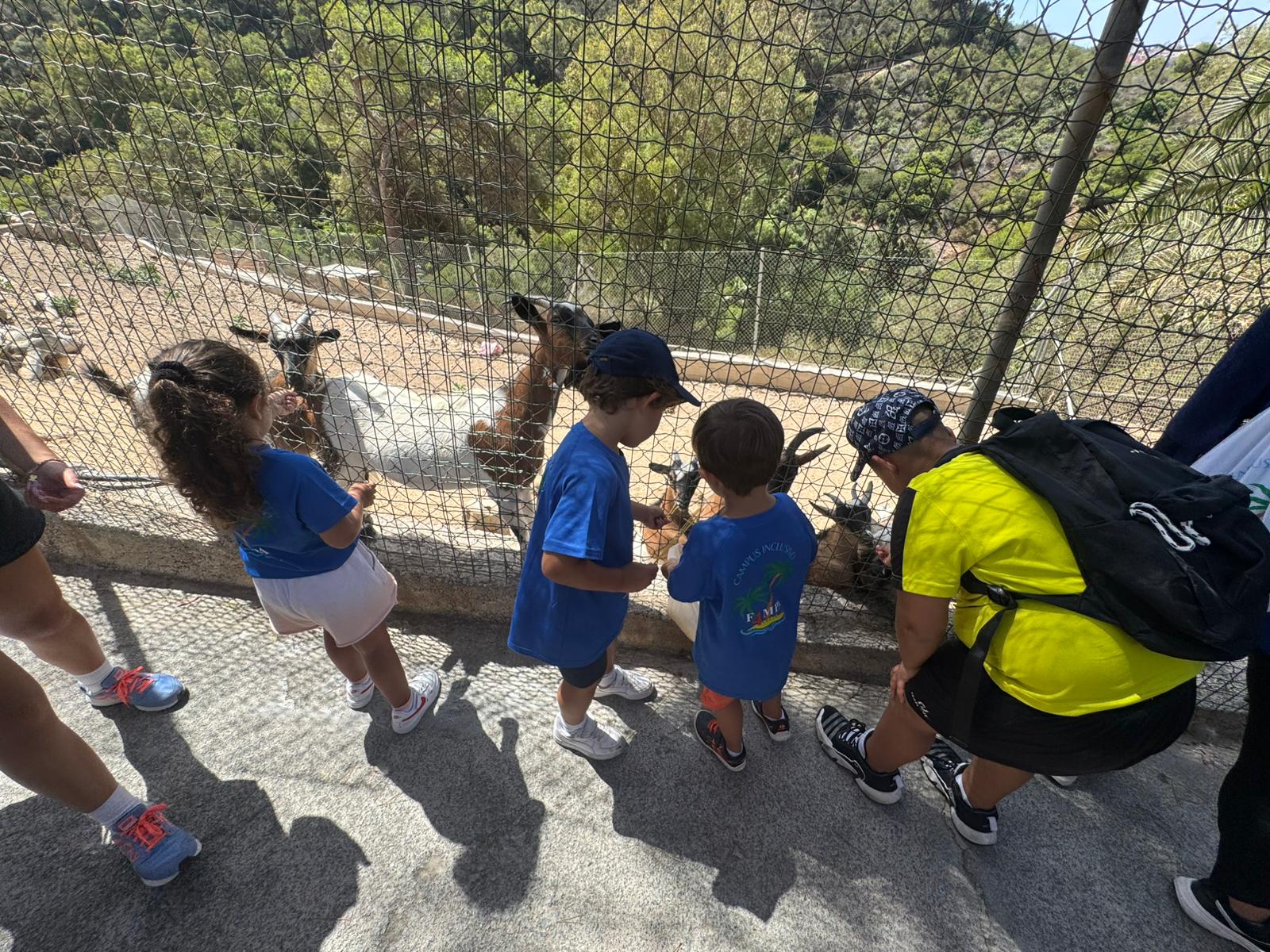 campus-inclusivo-fampa-4-culturas-1