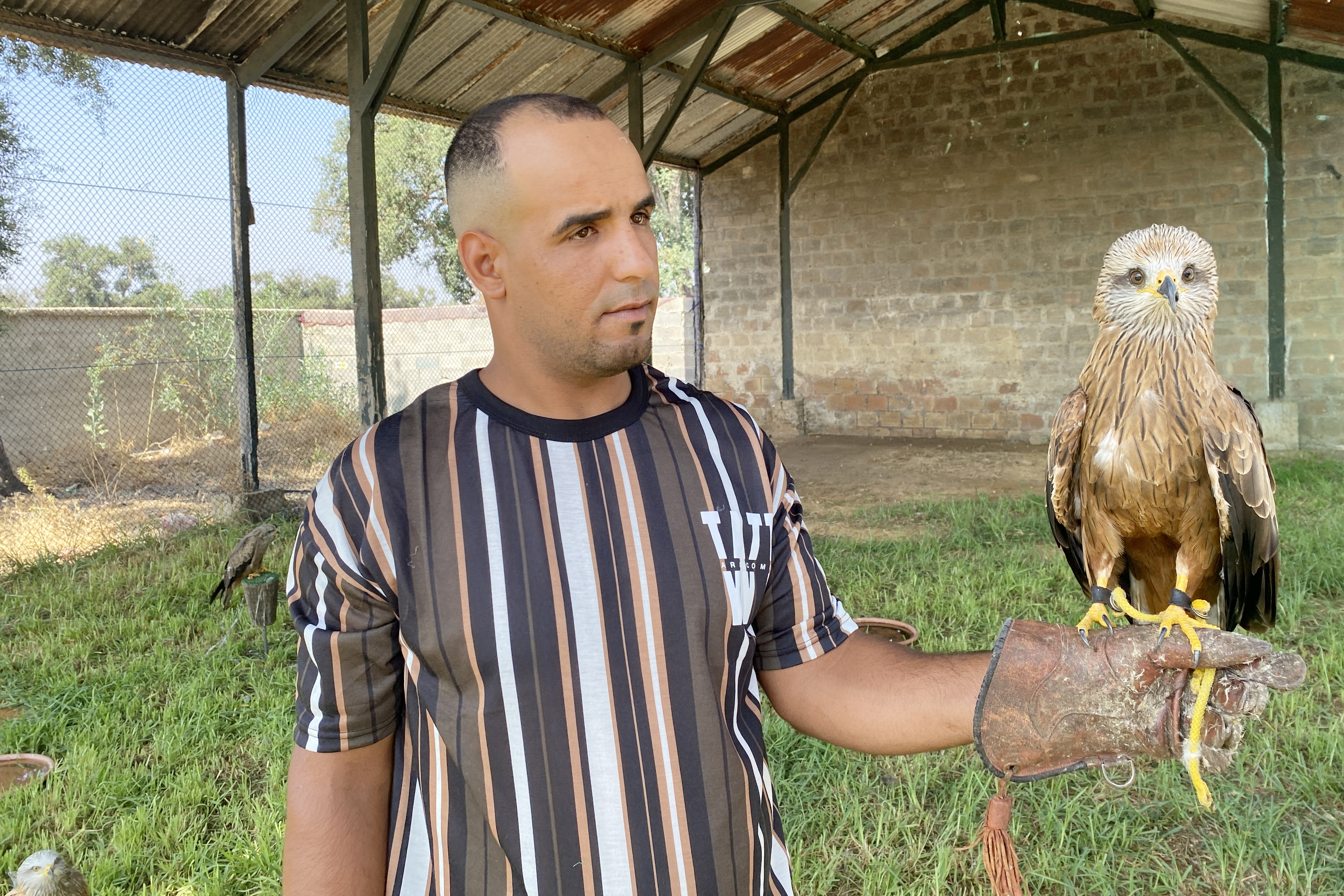 centro-marruecos-rescate-aves-rapaces-vuelta-habitat-natural-1.jpg