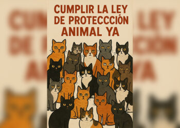ceuta-deuda-animales-ley-ignorada-colaboracion-miguel-a.p