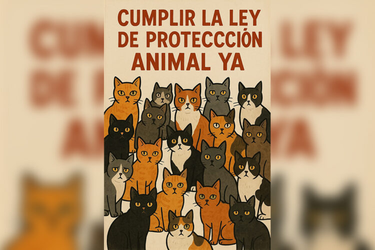 ceuta-deuda-animales-ley-ignorada-colaboracion-miguel-a.p