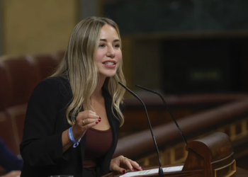 diputada-pp-noelia-nunez-dimite