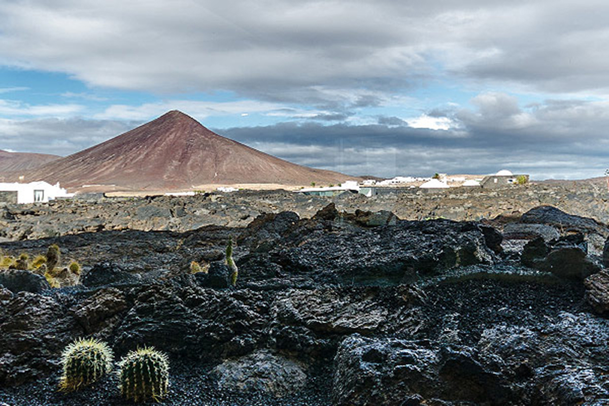 fundacion-cesar-manrique-arte-naturaleza-compromiso-social-005