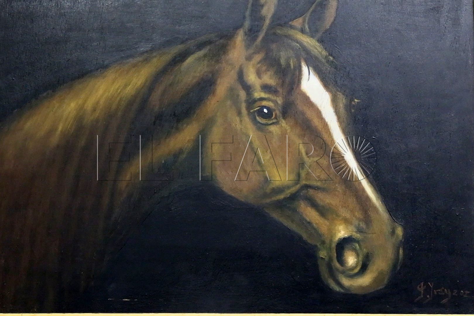 historia-expuesta-regimiento-caballeria-montesa-3-dia-santiago-2025-13