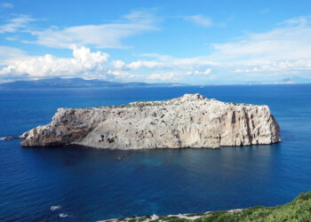 comentario-inocente-perejil