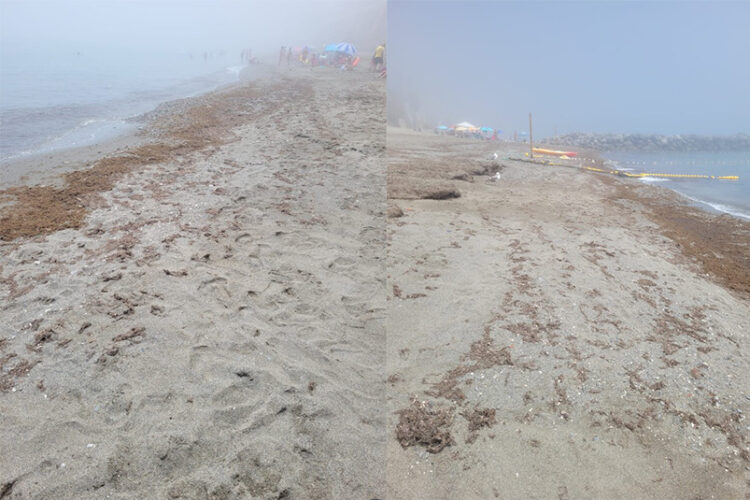 limo-playa-chorrillo-usuarios-se-quejan-limpieza-1