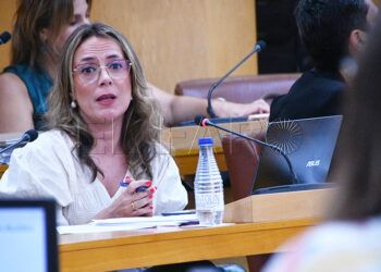 polemica-centralizacion-programacion-cultural-infantil-biblioteca-adolfo-suarez-verano