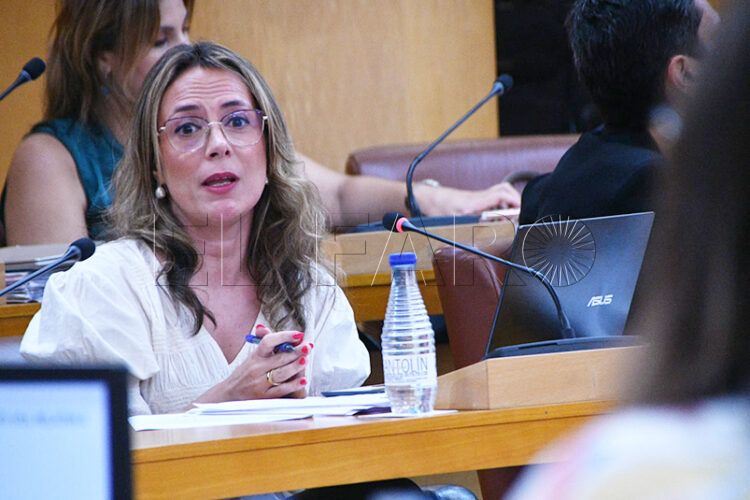 polemica-centralizacion-programacion-cultural-infantil-biblioteca-adolfo-suarez-verano