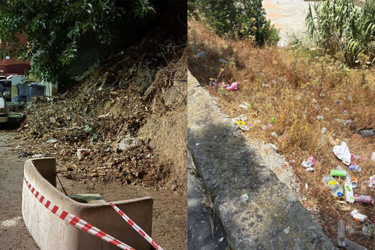 psoe-denuncia-vertedero-ilegal-1