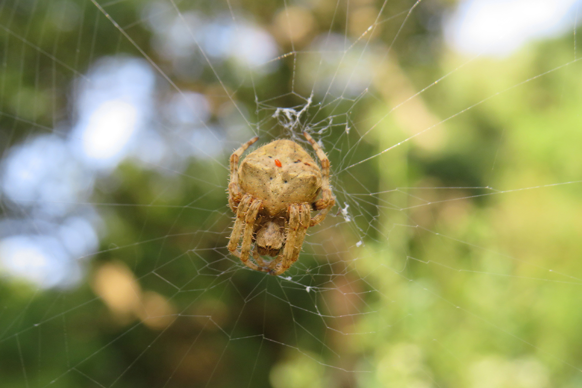 ver-dios-naturaleza-003