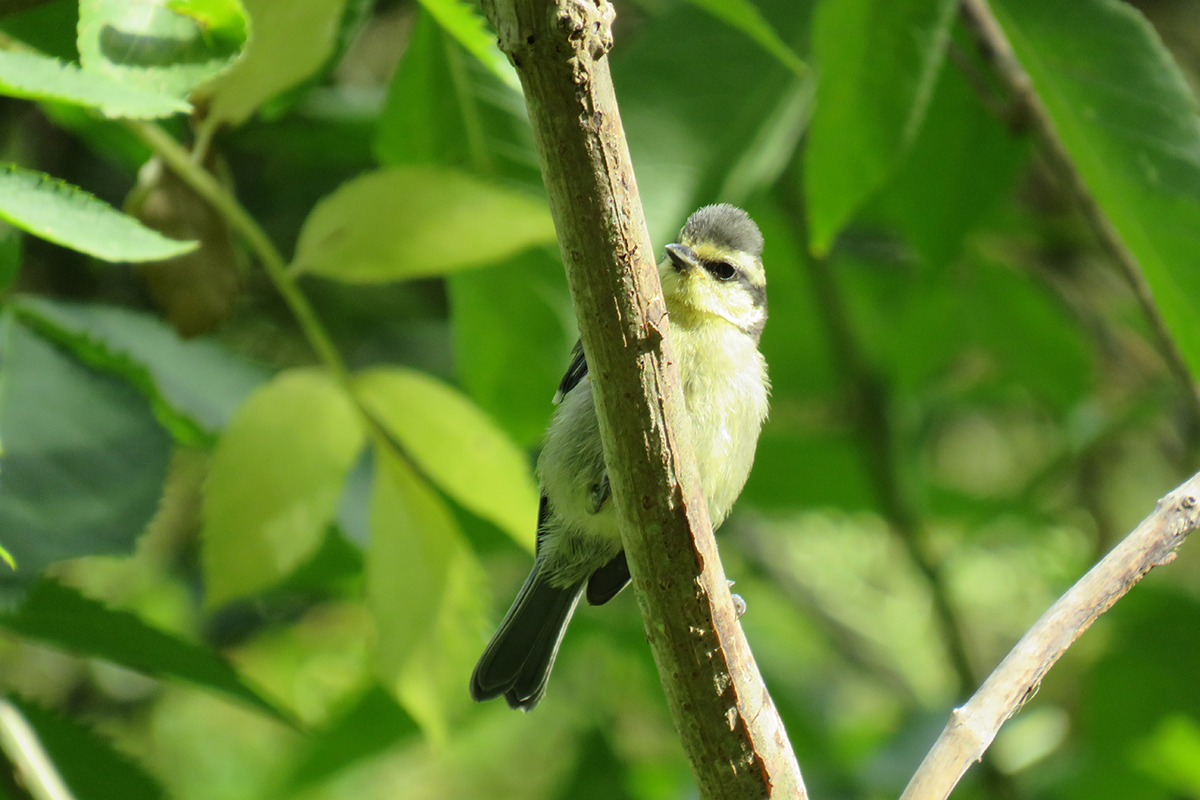 ver-dios-naturaleza-004