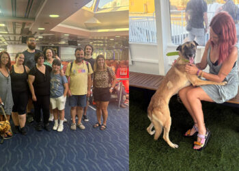 abandono-institucional-protectora-viaje-13-perros-francia