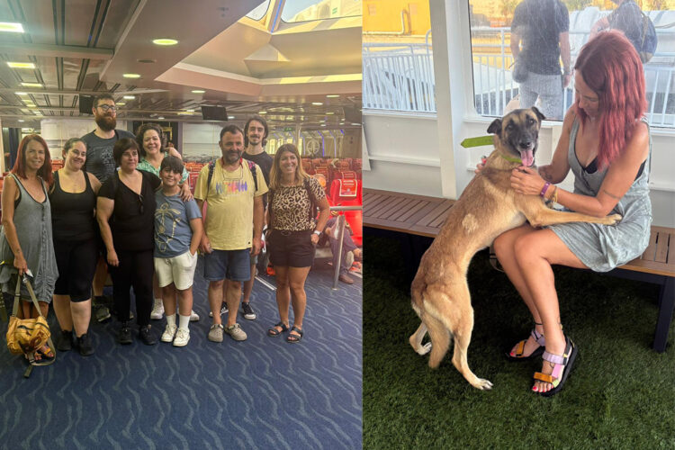 abandono-institucional-protectora-viaje-13-perros-francia